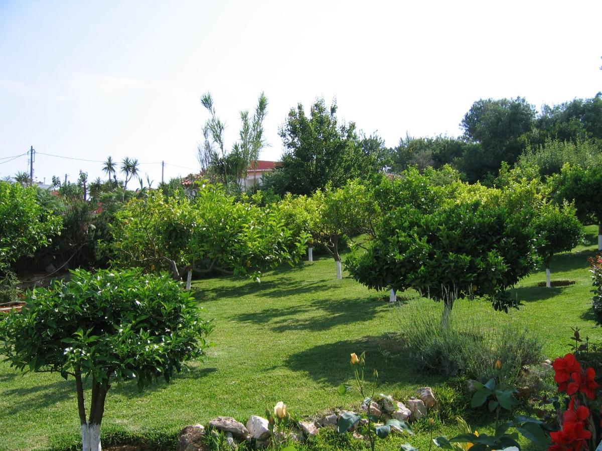 Tara Beach Hotel Skala  Eksteriør bilde